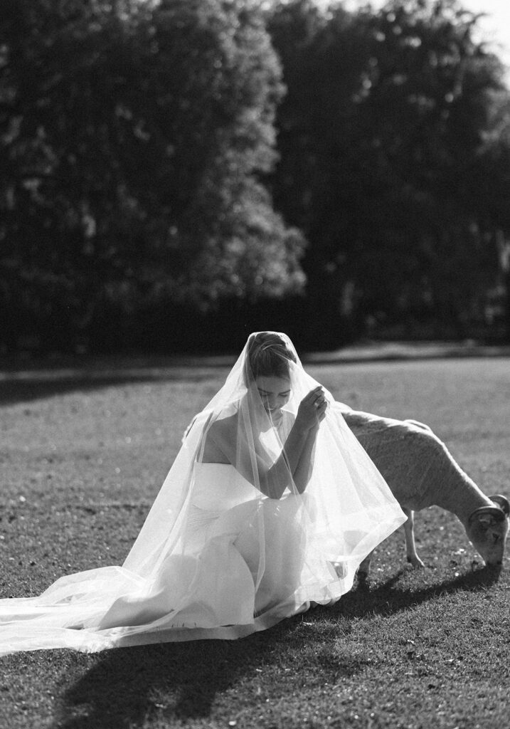 Alexa & Beau Wedding